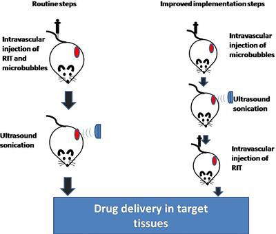 <mark class="highlighted">Radioimmunotherapy</mark> Combined With Low-Intensity Ultrasound and Microbubbles: A Potential Novel Strategy for Treatment of Solid Tumors